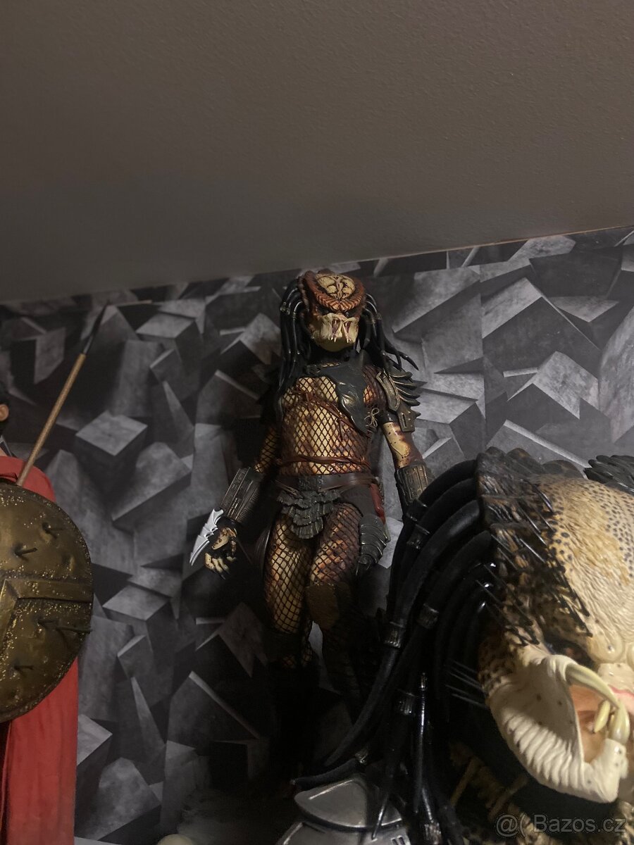 Sideshow city hunter