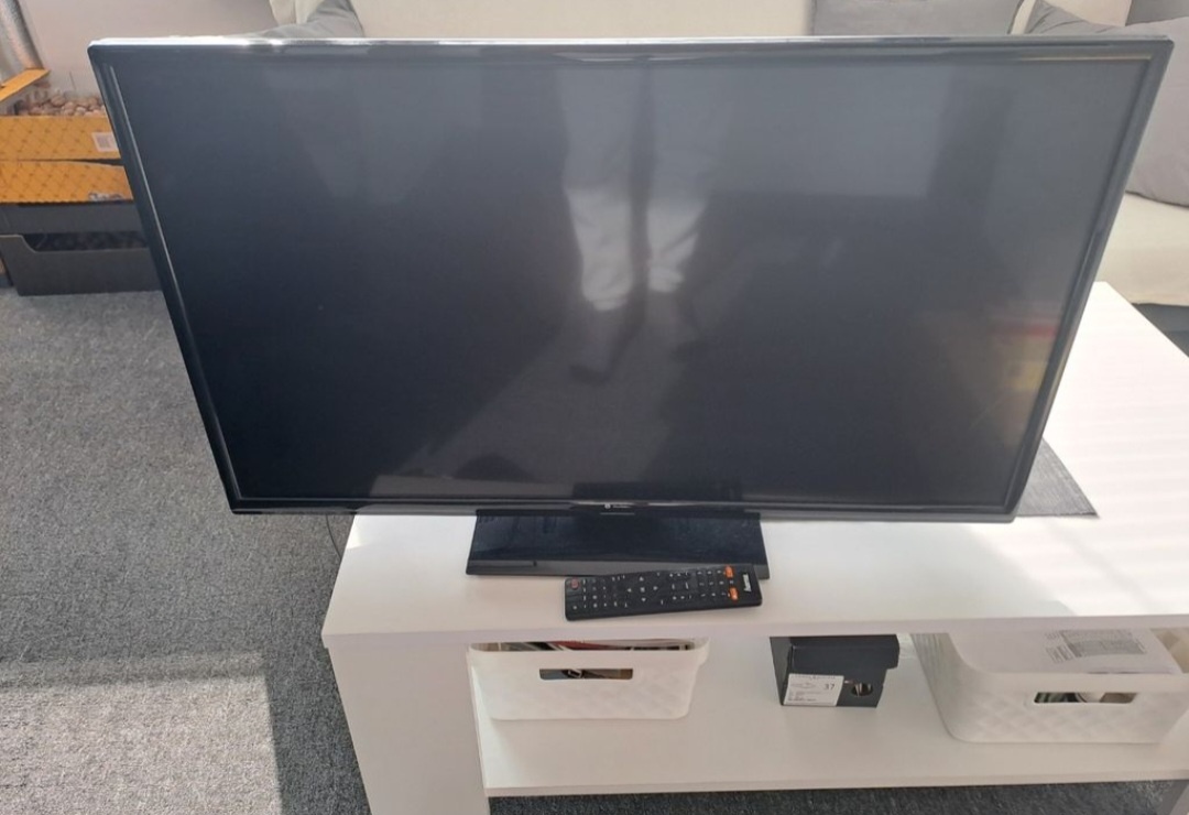 Televize Gogen 80cm