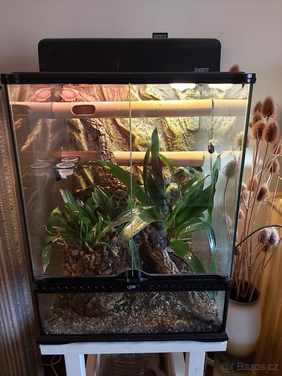Terarium Exo terra