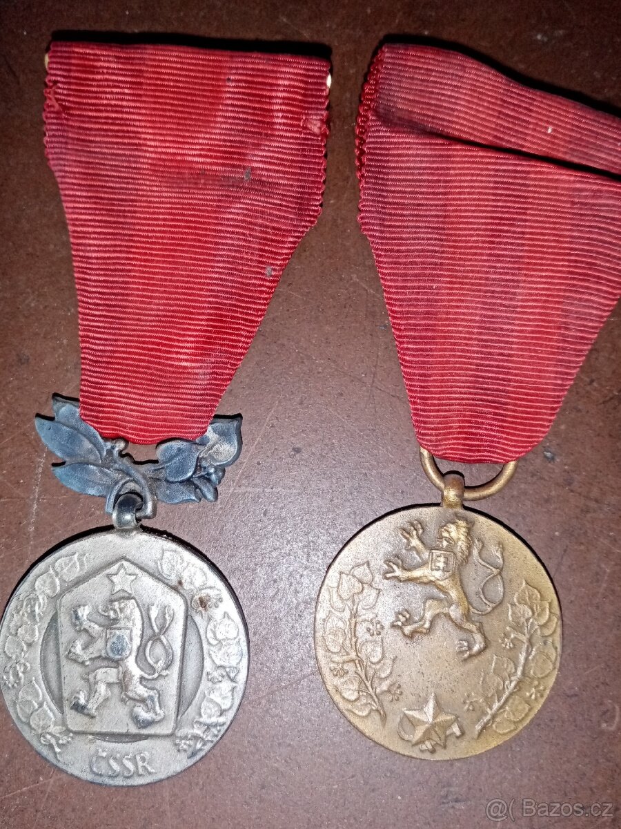 Medaile za zásluhy a za službu vlasti