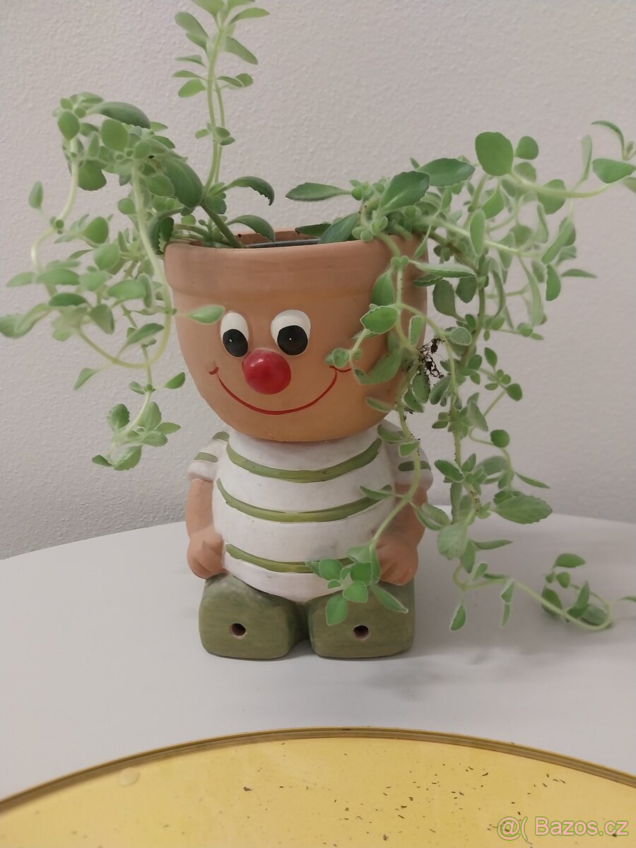 Mini rimovník
