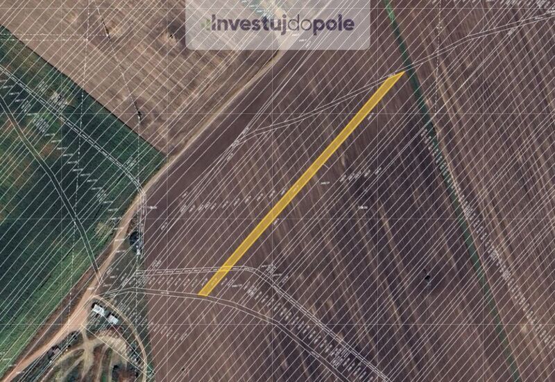Prodej pole v k.ú. Dubňany