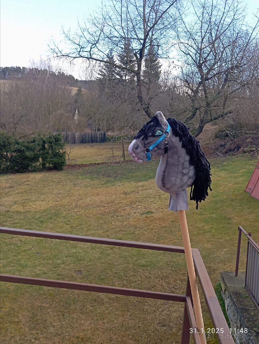 Hobby horse