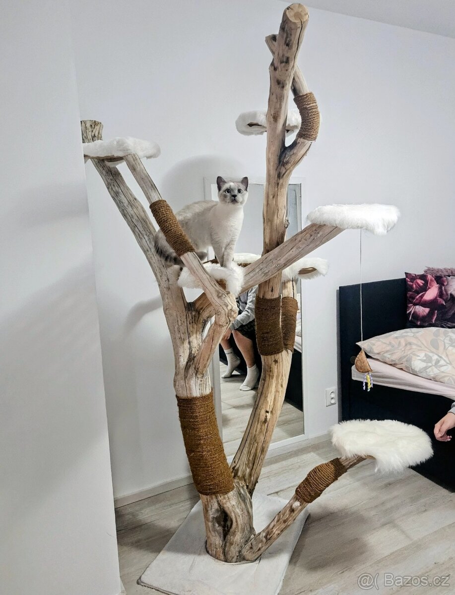 Výroba kočičích stromů