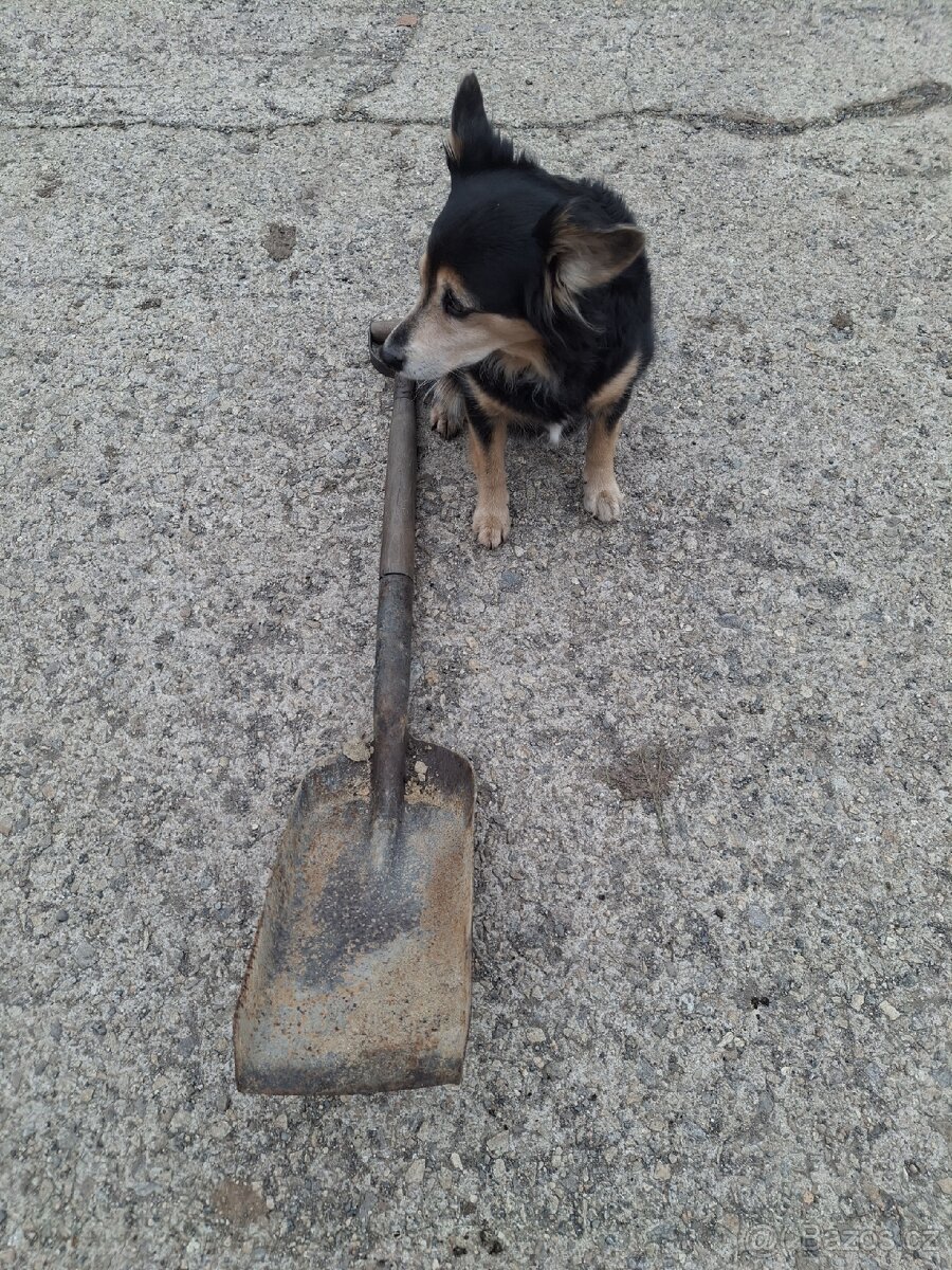 Parni lokomotiva- lopata na přikladani uhli