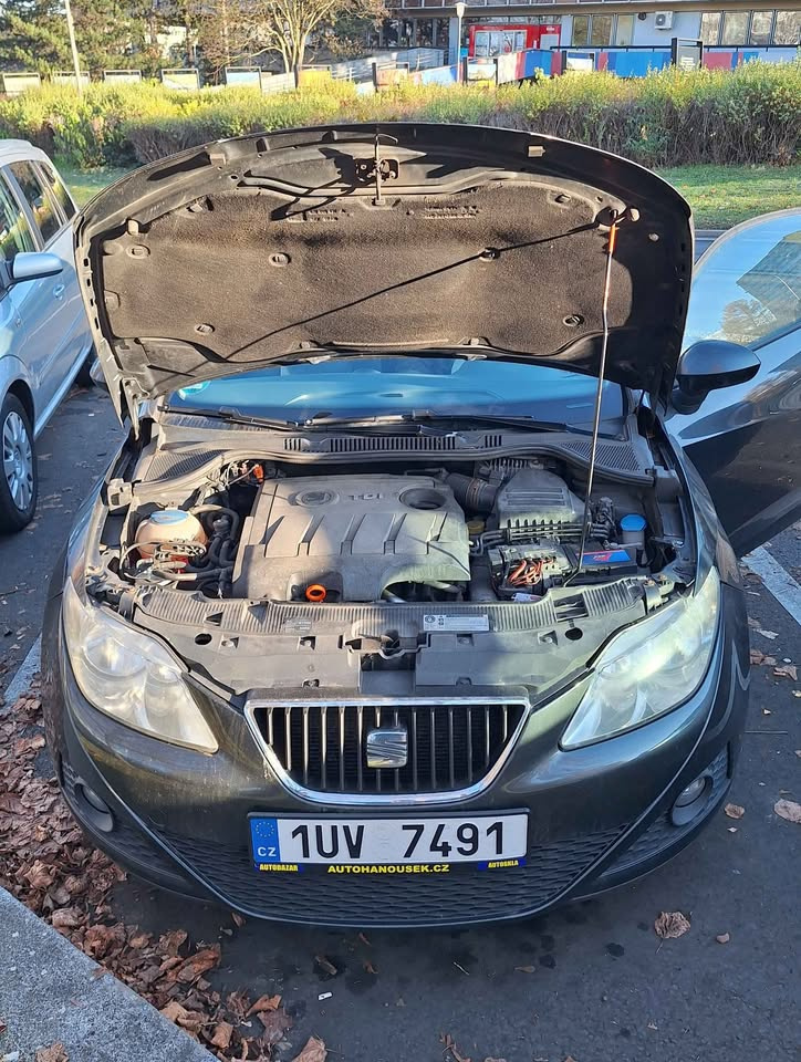 2010 SEAT Ibiza 4 1.6 TDI 66kw