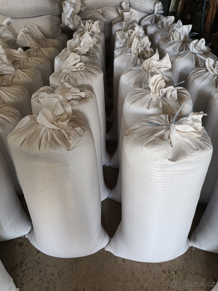 Obilí, pšenice, ječmen