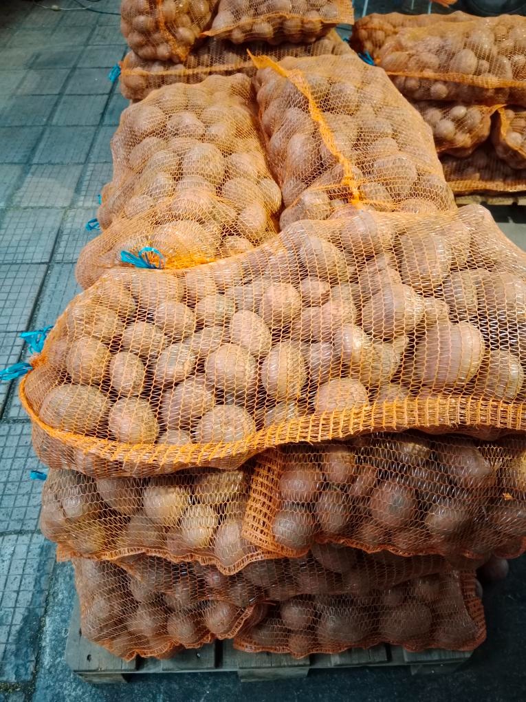 Brambory na uskladnění