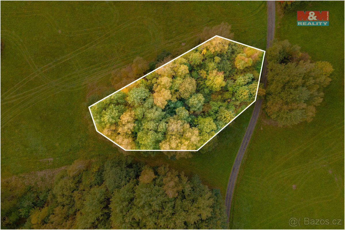 Prodej ostatní, 1966 m², Luby