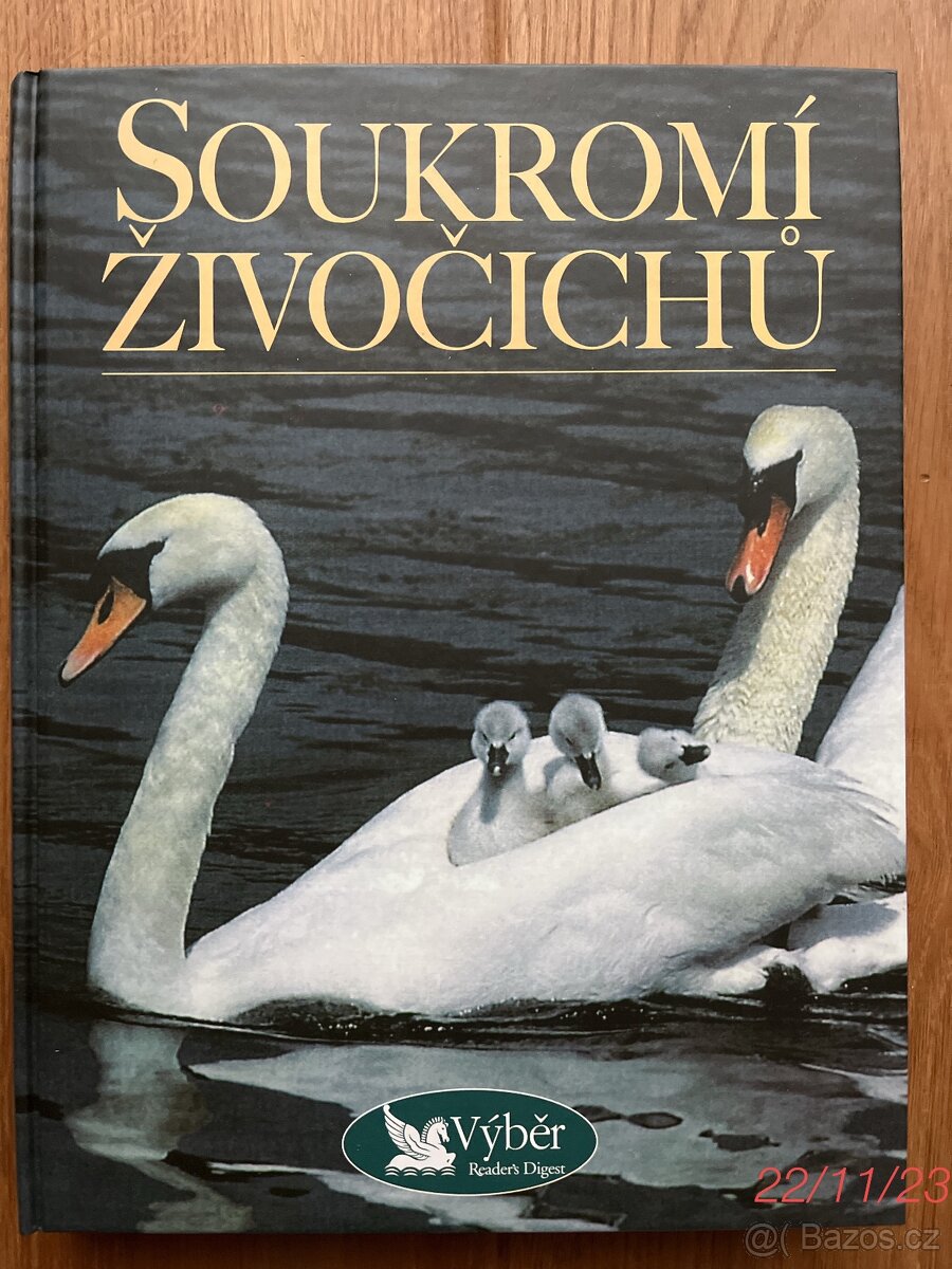 Velká kniha