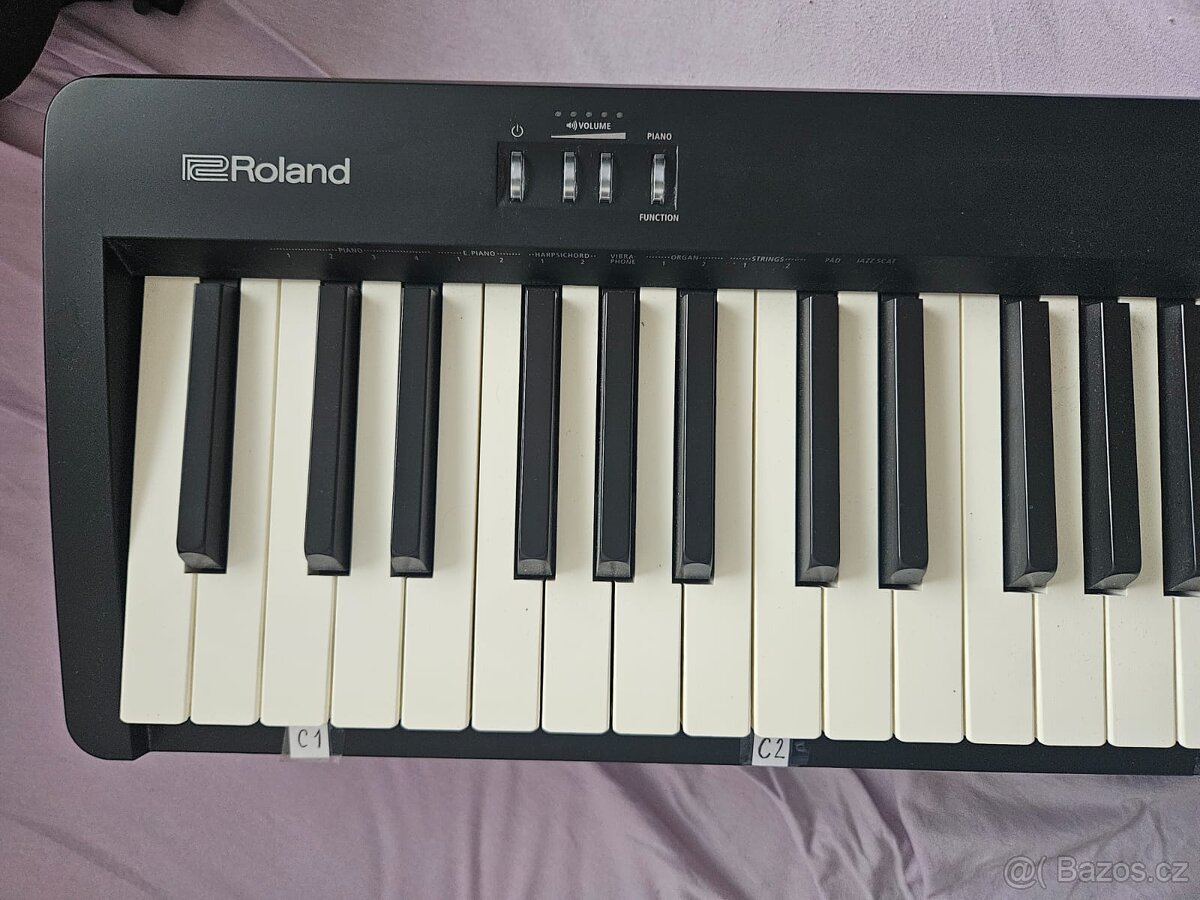 Roland FP-10