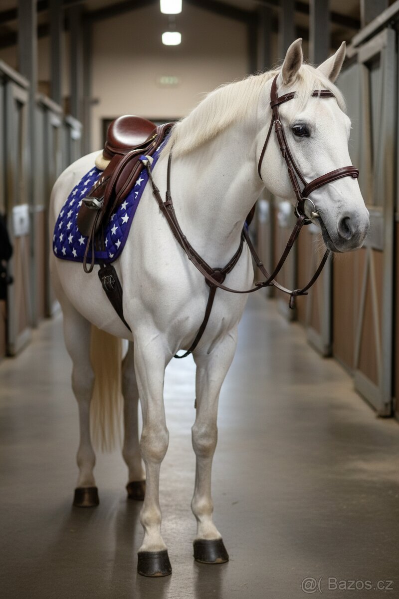 Drezurní podsedlové dečky