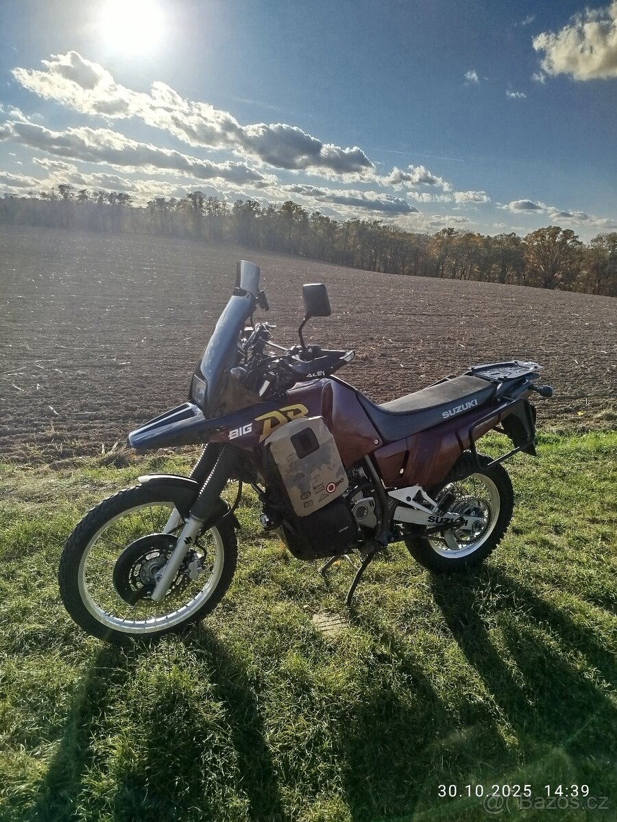Suzuki DR Big 800 SR43