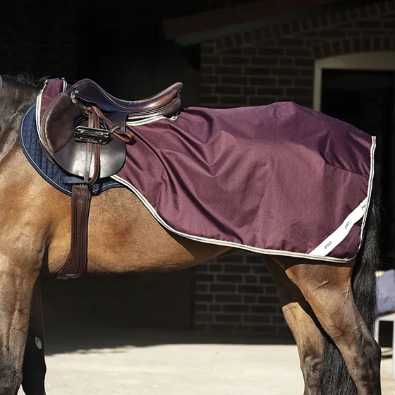 Berední deka Horseware