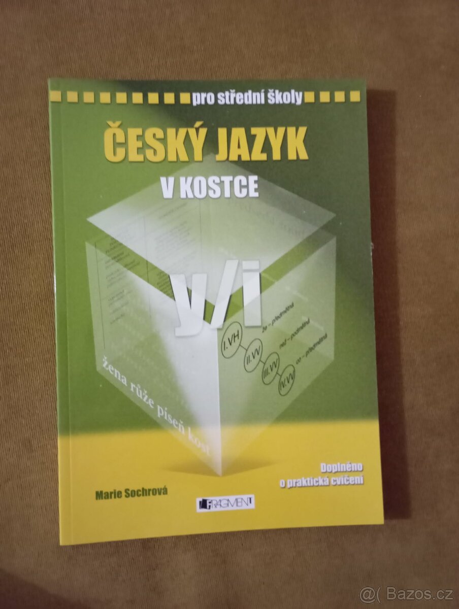 Český jazyk v kostce y/i