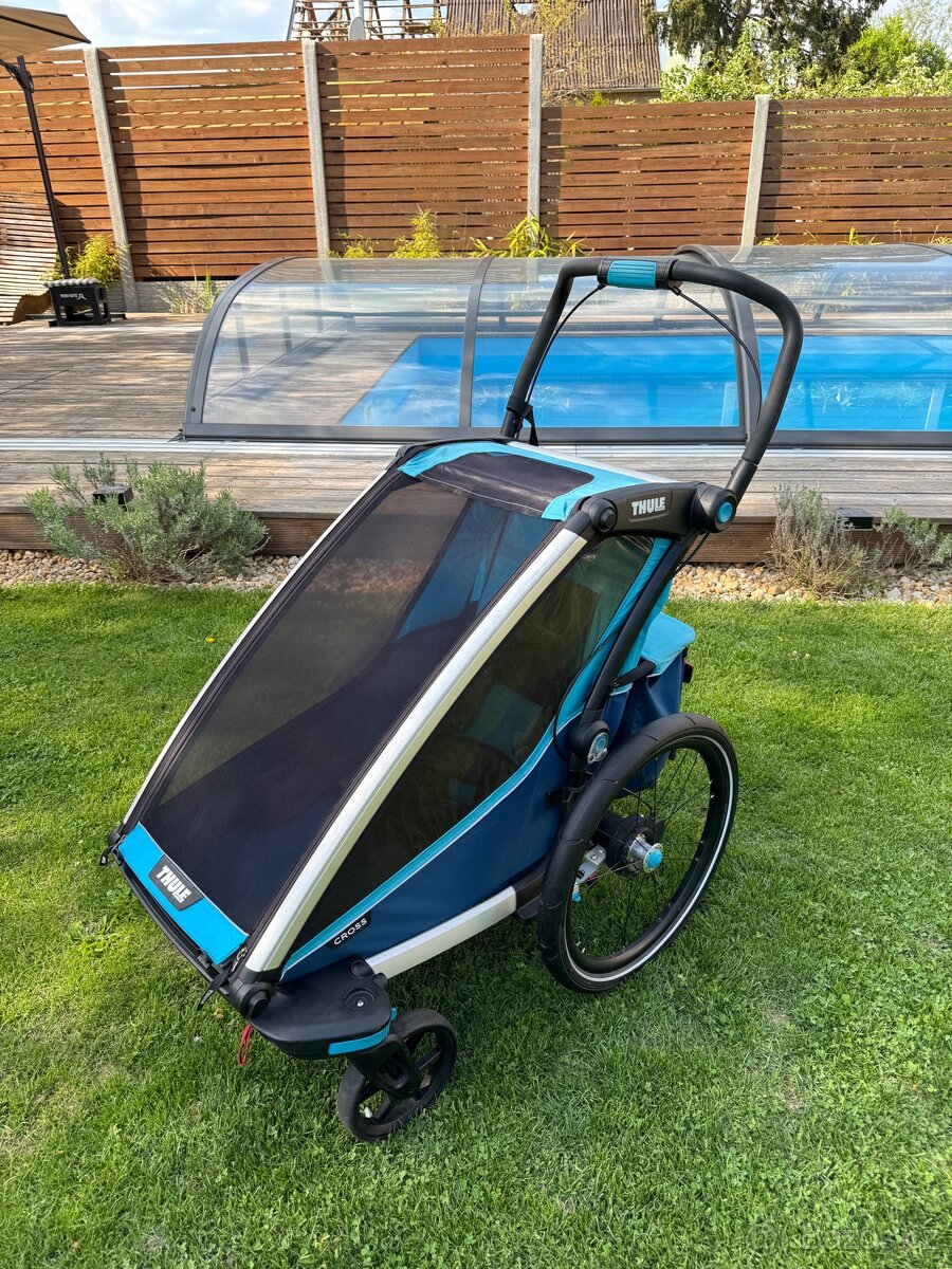 Thule Charriot Cross 1