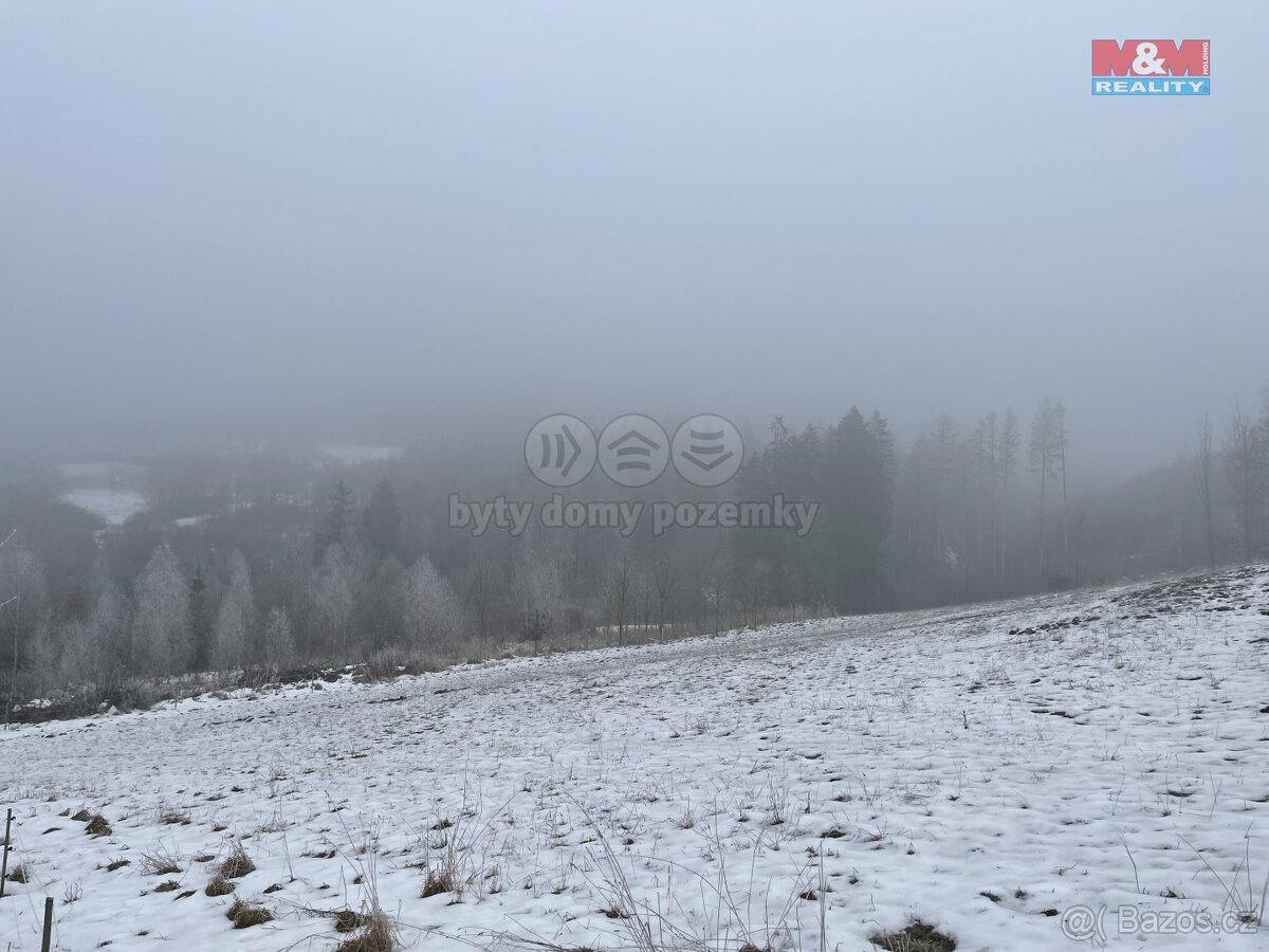 Prodej, les, 8638 m2, Železný Brod