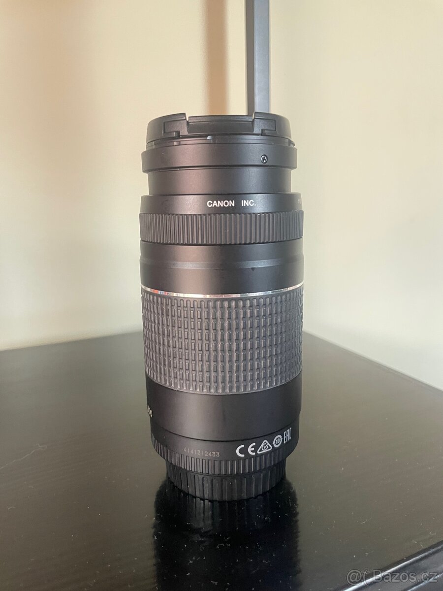 Canon EF 75-300mm f/4-5.6 III