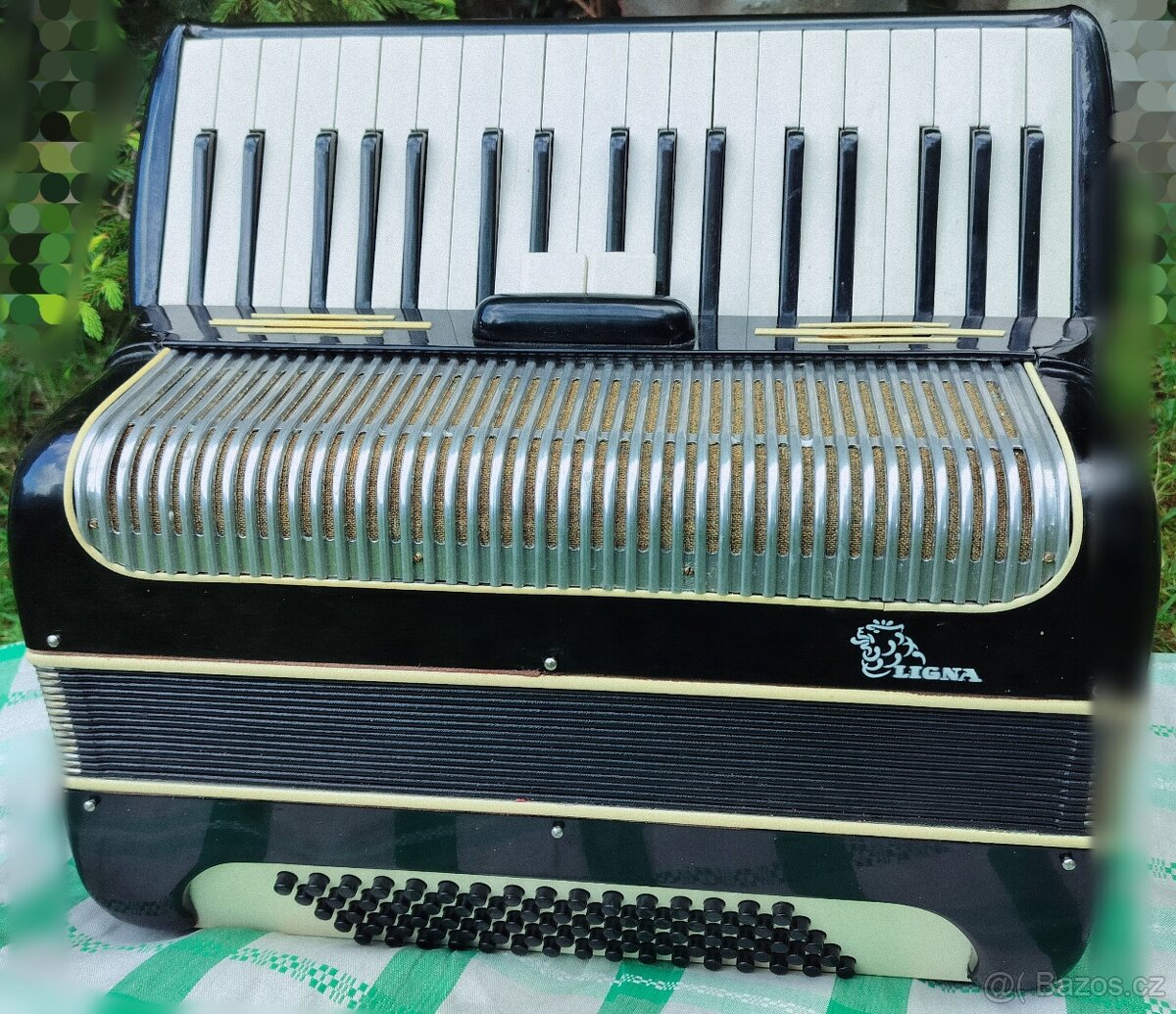 Akordeon Harmonika Ligna