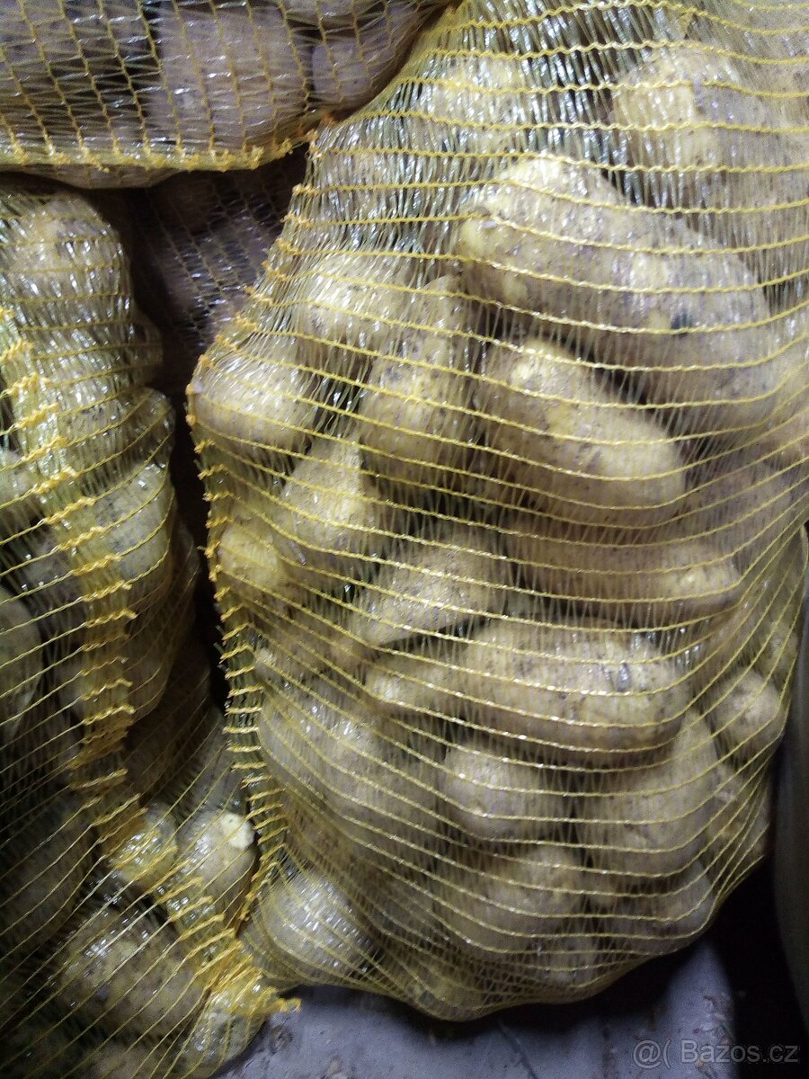 RANÉ BRAMBORY 15kč/kg