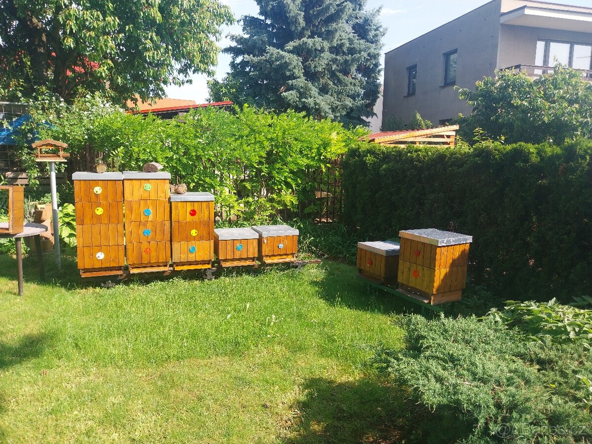 Prodám oddělky a včelstva
