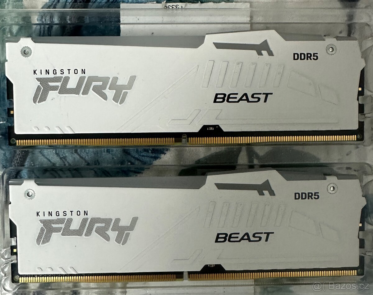 Kingston fury beast white EXPO 32GB
