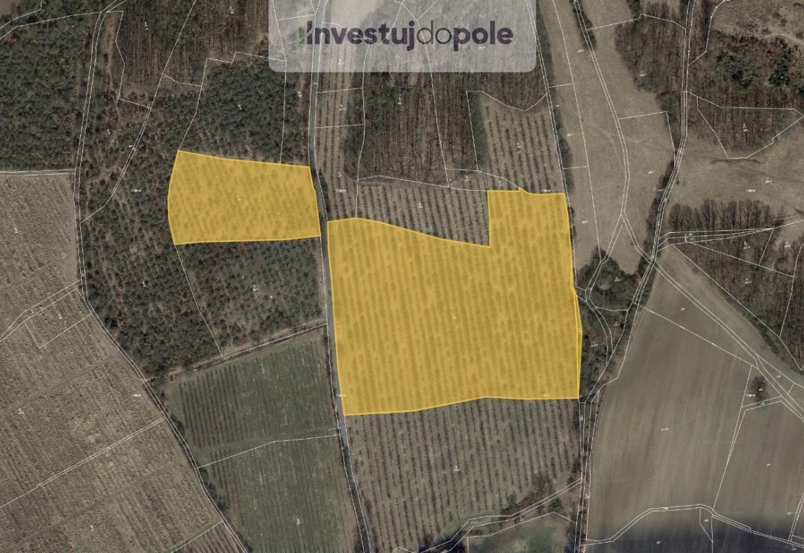 Prodej podílu 1/8 sadu / vinice 6 343 m², Liběšice - Horní N