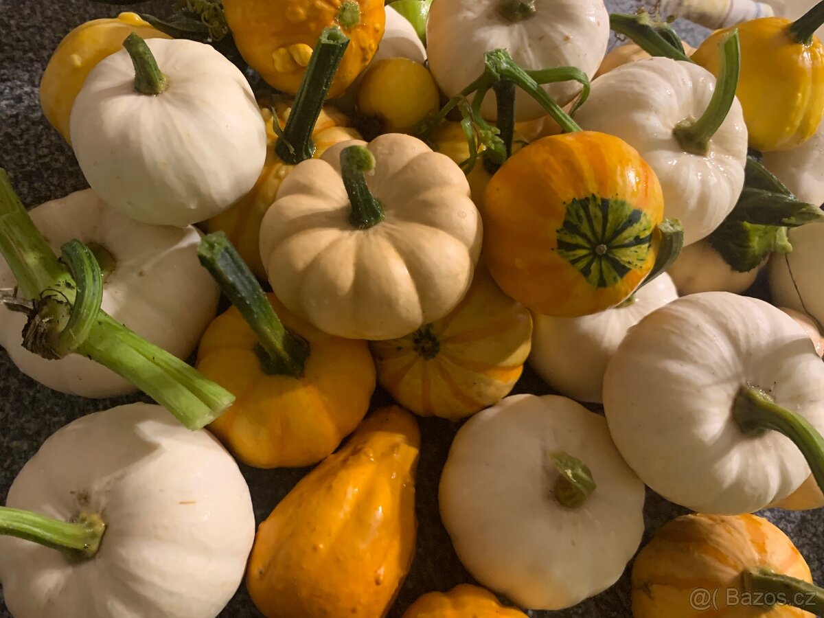 Ozdobné dýně