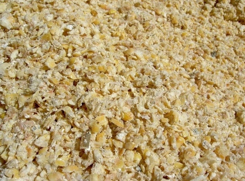 Šrot - pšenice, kukuřice, ječmen, hrách