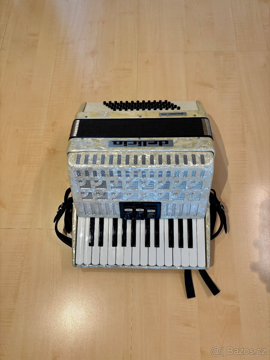 Delicia Junior 24 -60 basů