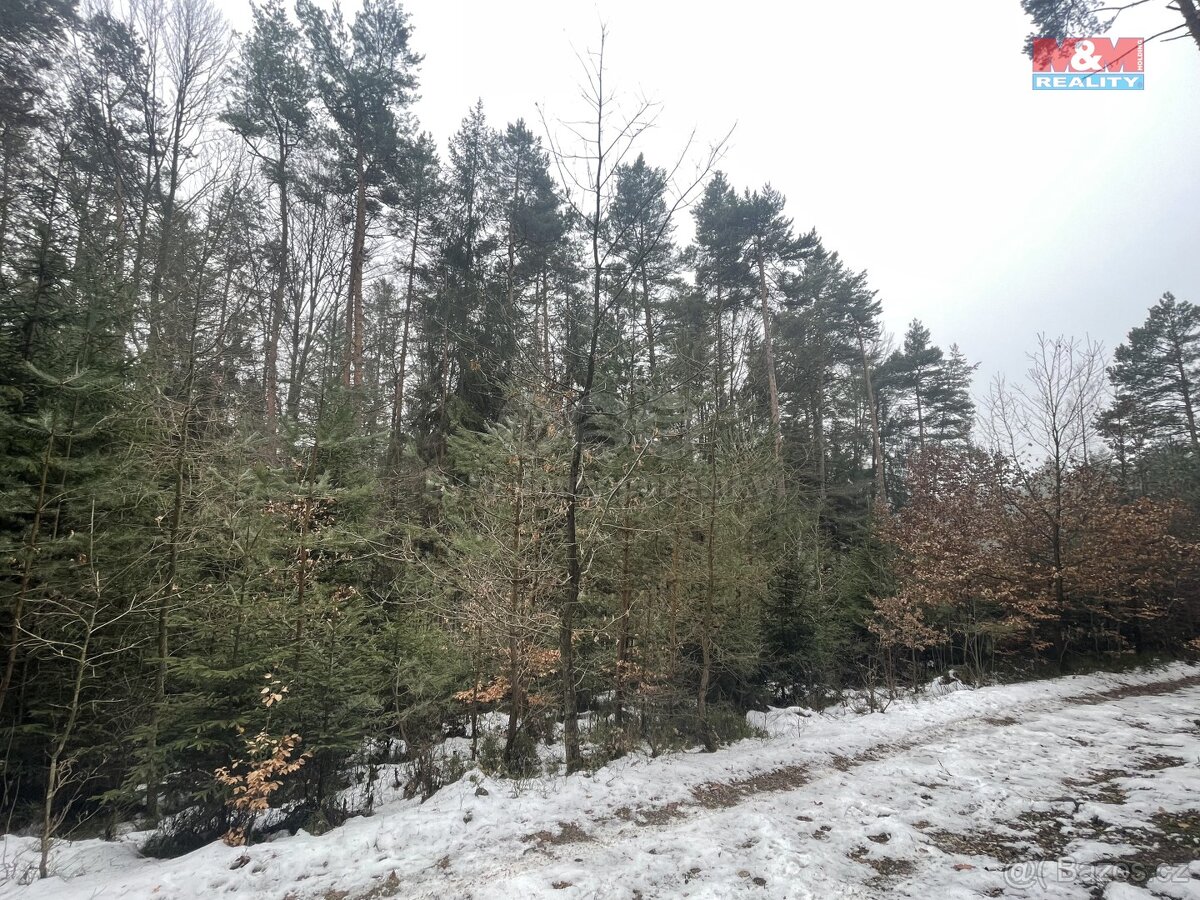 Prodej, les, 12219 m2, Smrčí u Semil, Záhoří