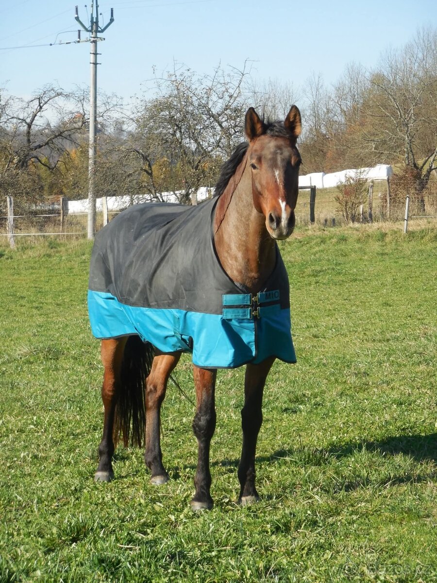 Výběhová deka Horseware