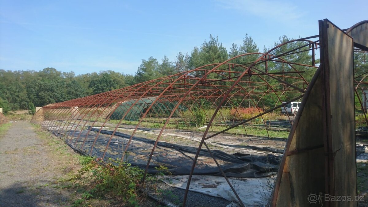 Fóliovník