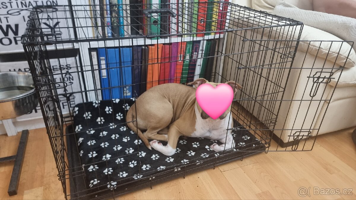 Klec pro psa - vyzvednutí / zaslání