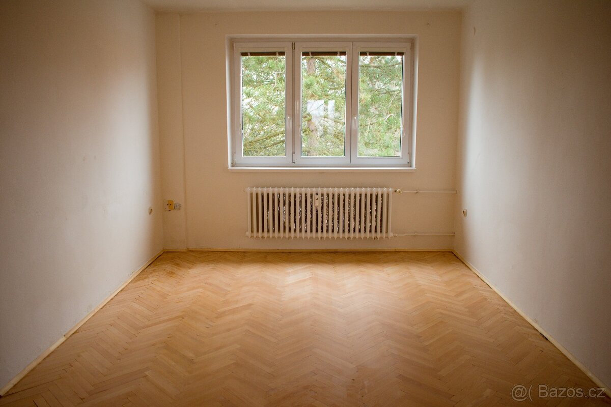 Pronájem bytu 3+1 Svitavy Olbrachtova