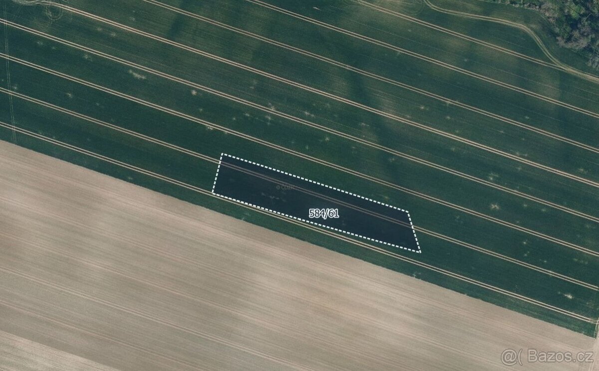 Zemědělská půda, prodej, Mělnické Vtelno, Mělník