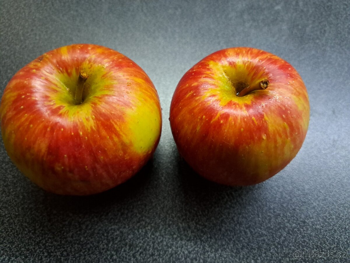 Nabídka jablek, ořechů a dřeva