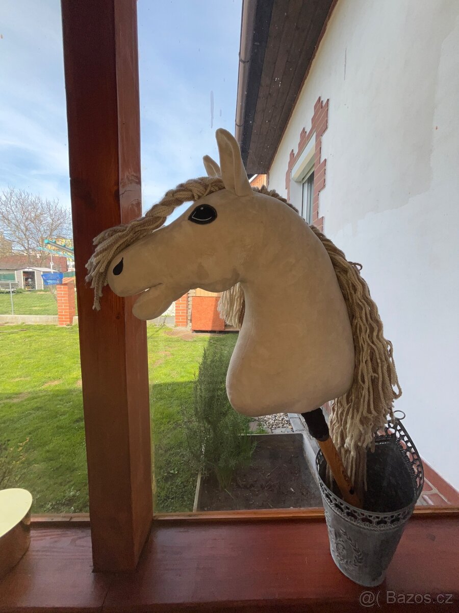 Hobby horse