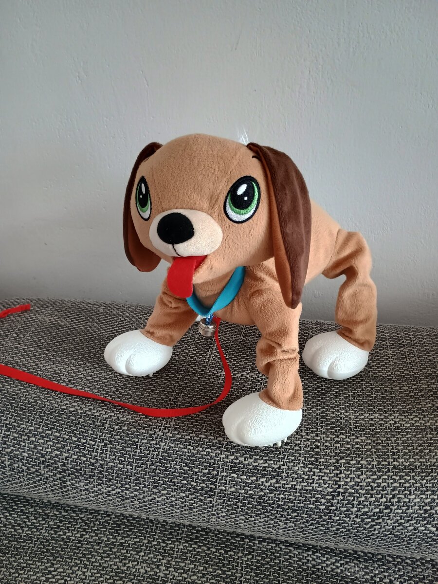 Pejsek Floppy