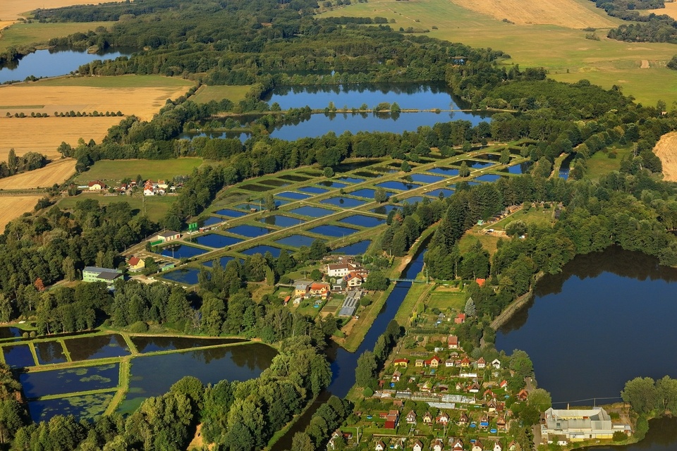 Pozemek ve Vodňanech