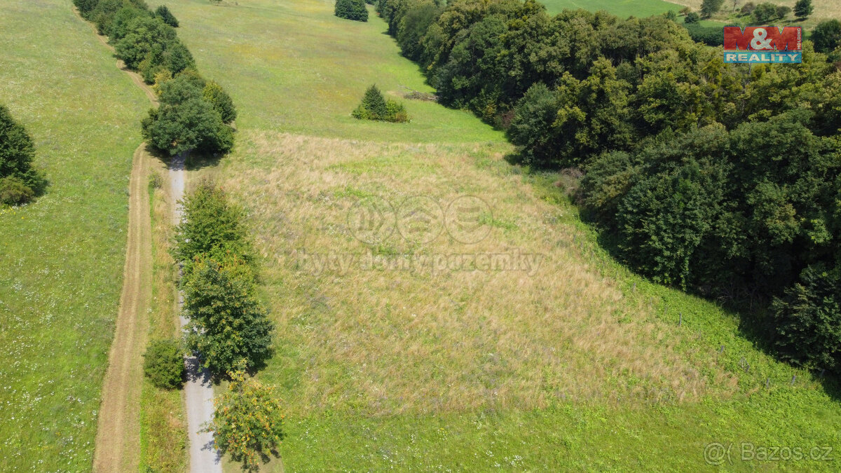 Prodej louky, 7411 m², Nový Jičín