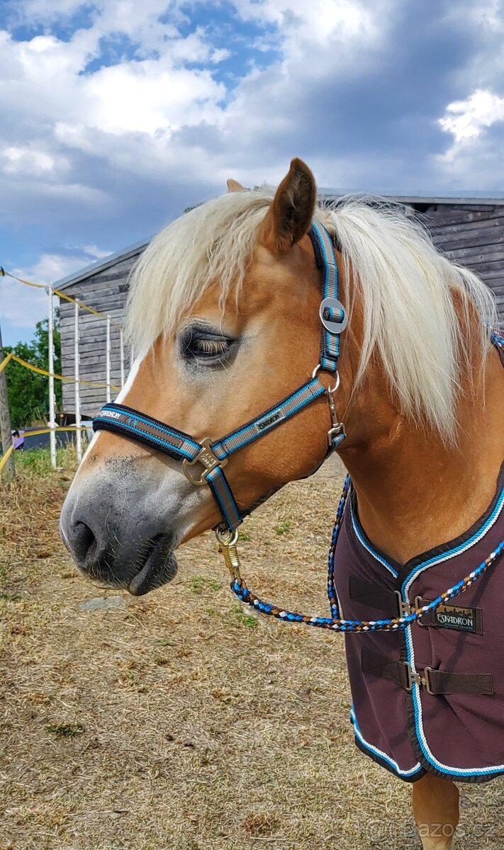 Eskadron