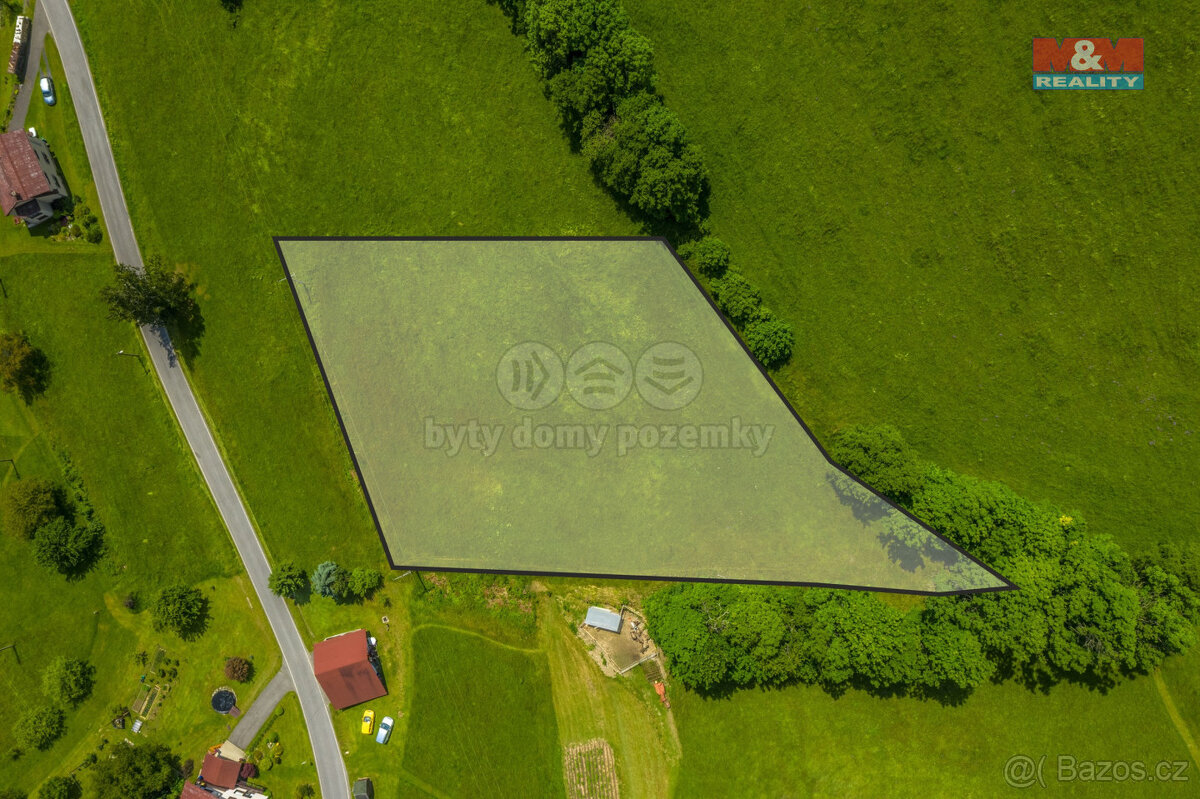 Prodej louky, 3867 m², Zlatá Olešnice