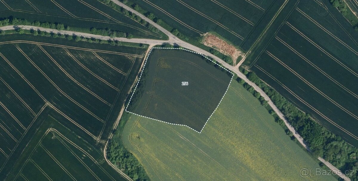 Zemědělská půda, prodej, Mohelnice nad Jizerou, Mladá Bolesl