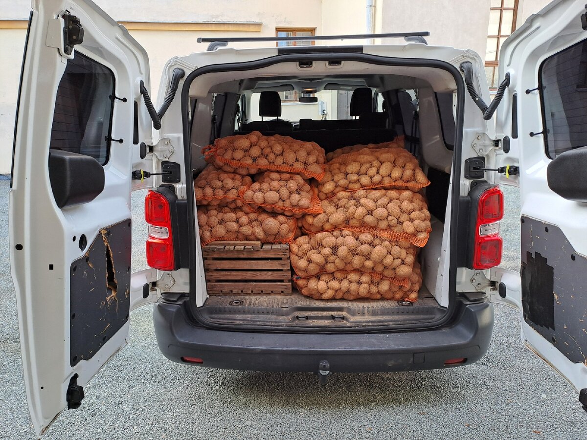 Brambory na uskladnění