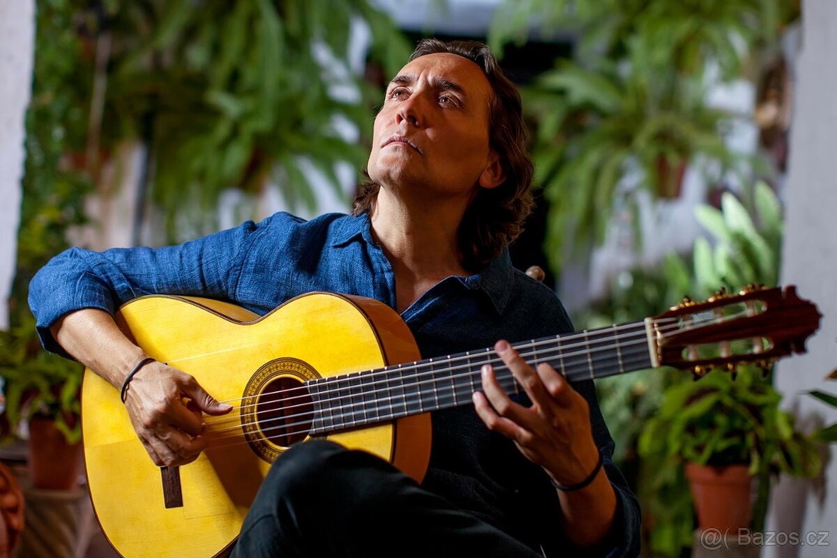 FRANCISCO NAVARRO -VICENTE AMIGO Model Flamenco kytara