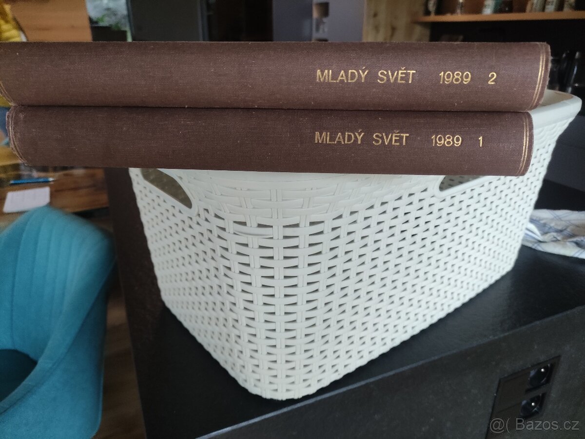 Mladý svět