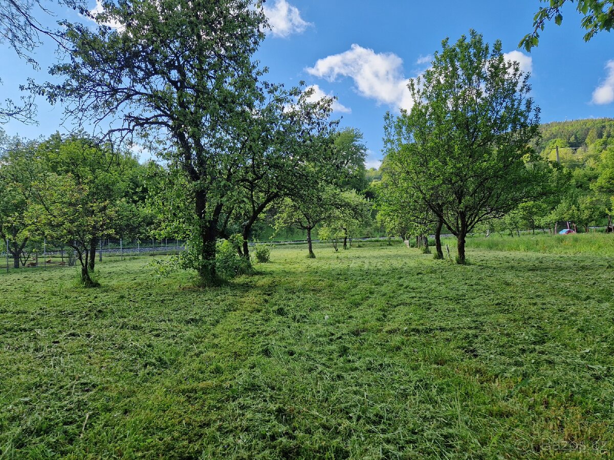 Sečení trávy a kácení stromů