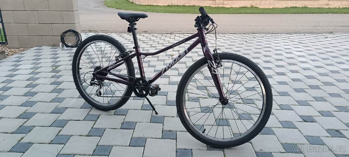 Dětské kolo Amulet 24 Tomcat