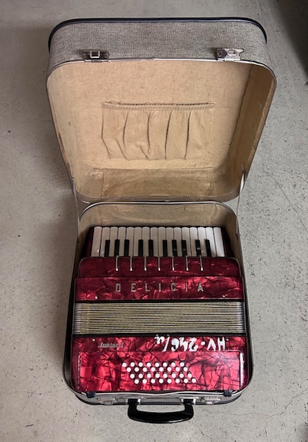 Akordeon Delicia Junior 1